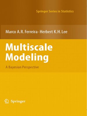 cover image of Multiscale Modeling